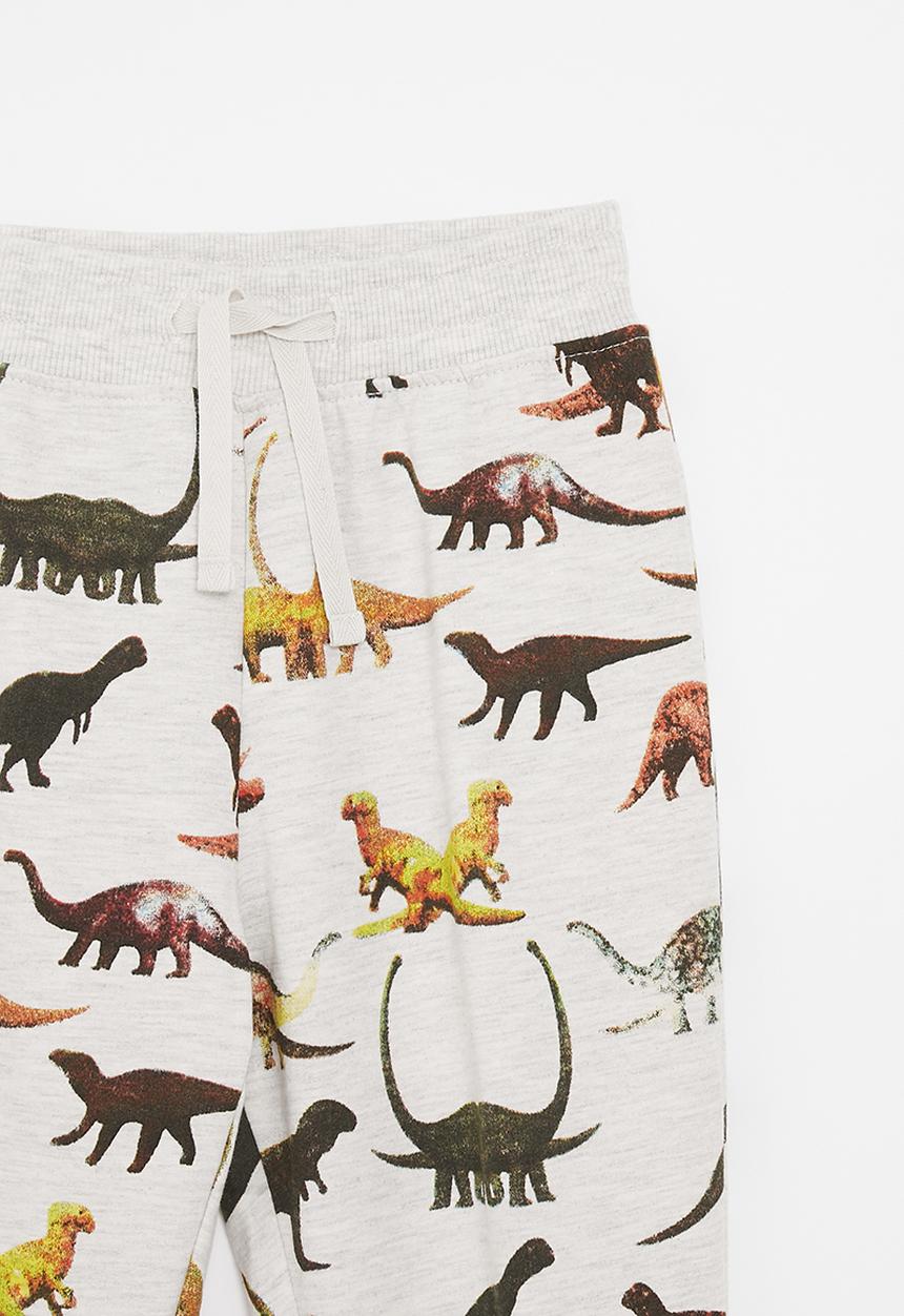 Pop Candy - Printed jogger - light grey/dinos