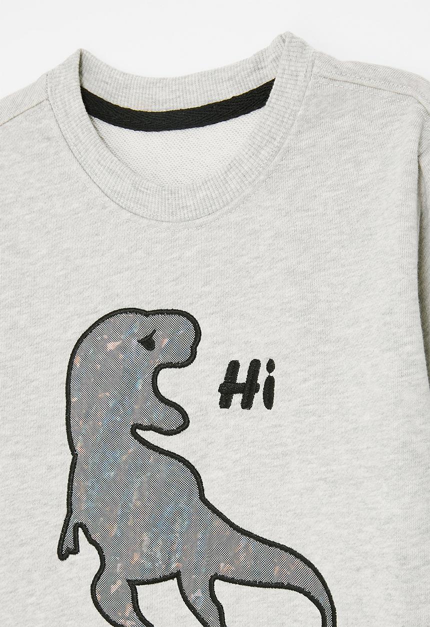 Pop Candy - Printed sweatshirt - grey/dino