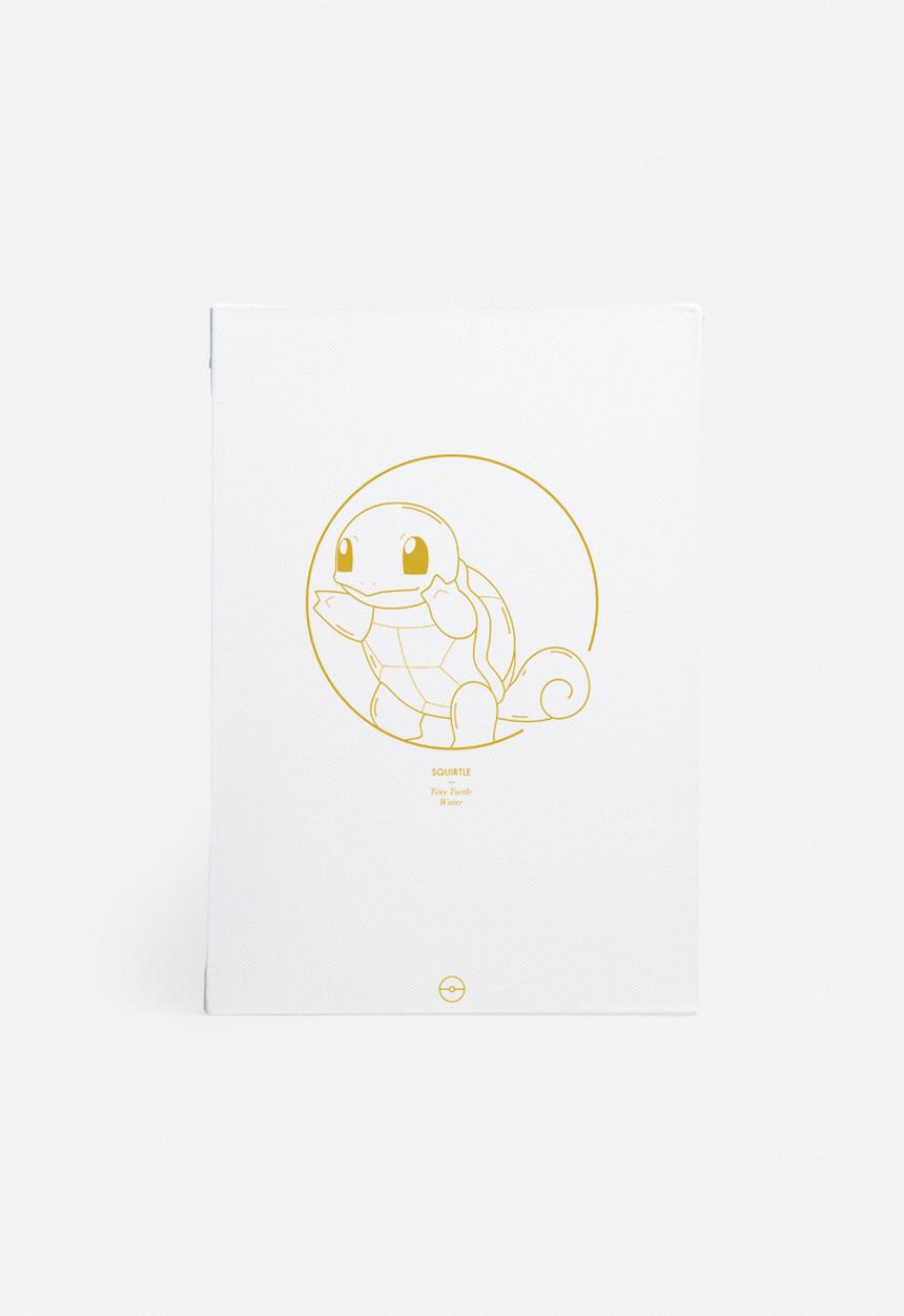 Sekonik - Squirtle