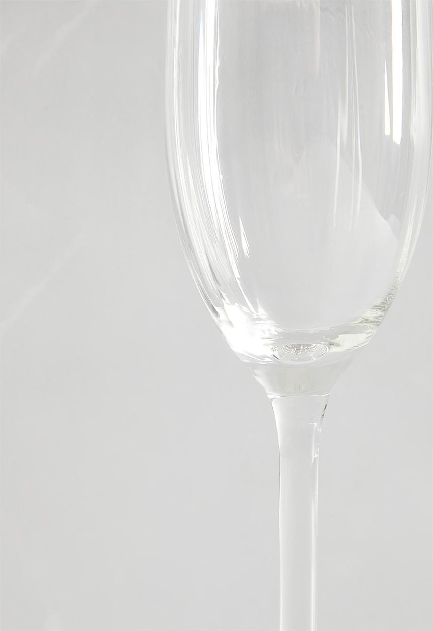Excellent Houseware - Milo champagne glass set of 4 - Clear