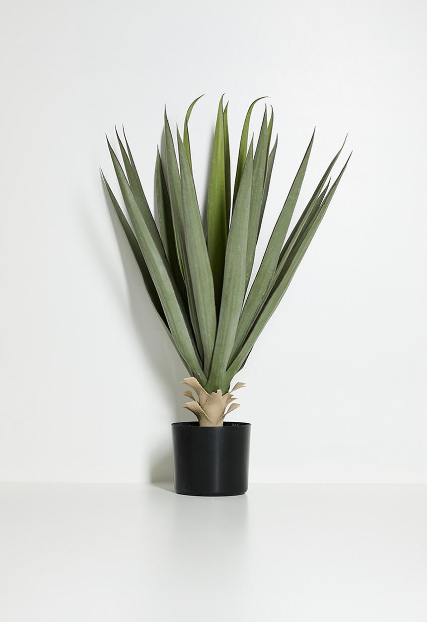 H&S - Artificial Sisal plant in pot - Green