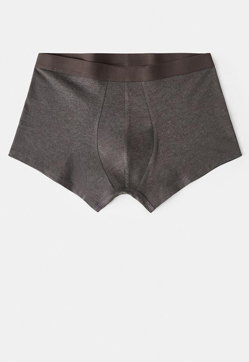 MANGO - Briefs Tribrown - Brown