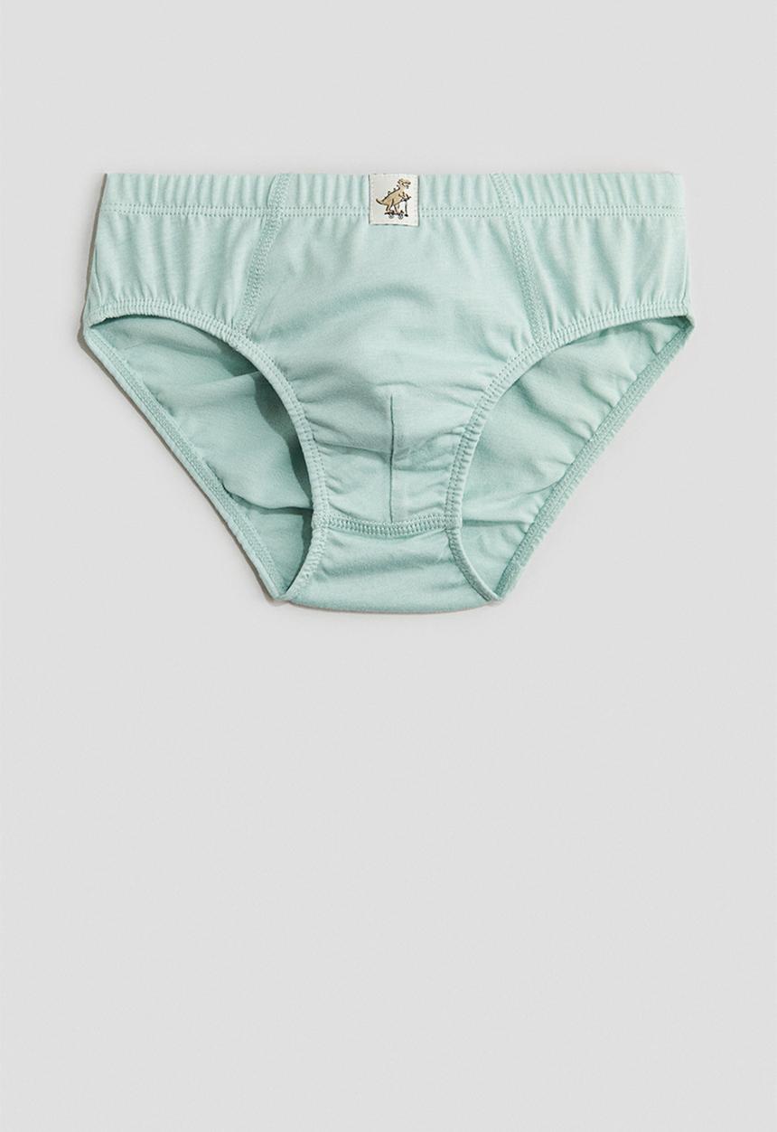 H&M - 5 pack cotton boys’ briefs - turquoise dinosaurs