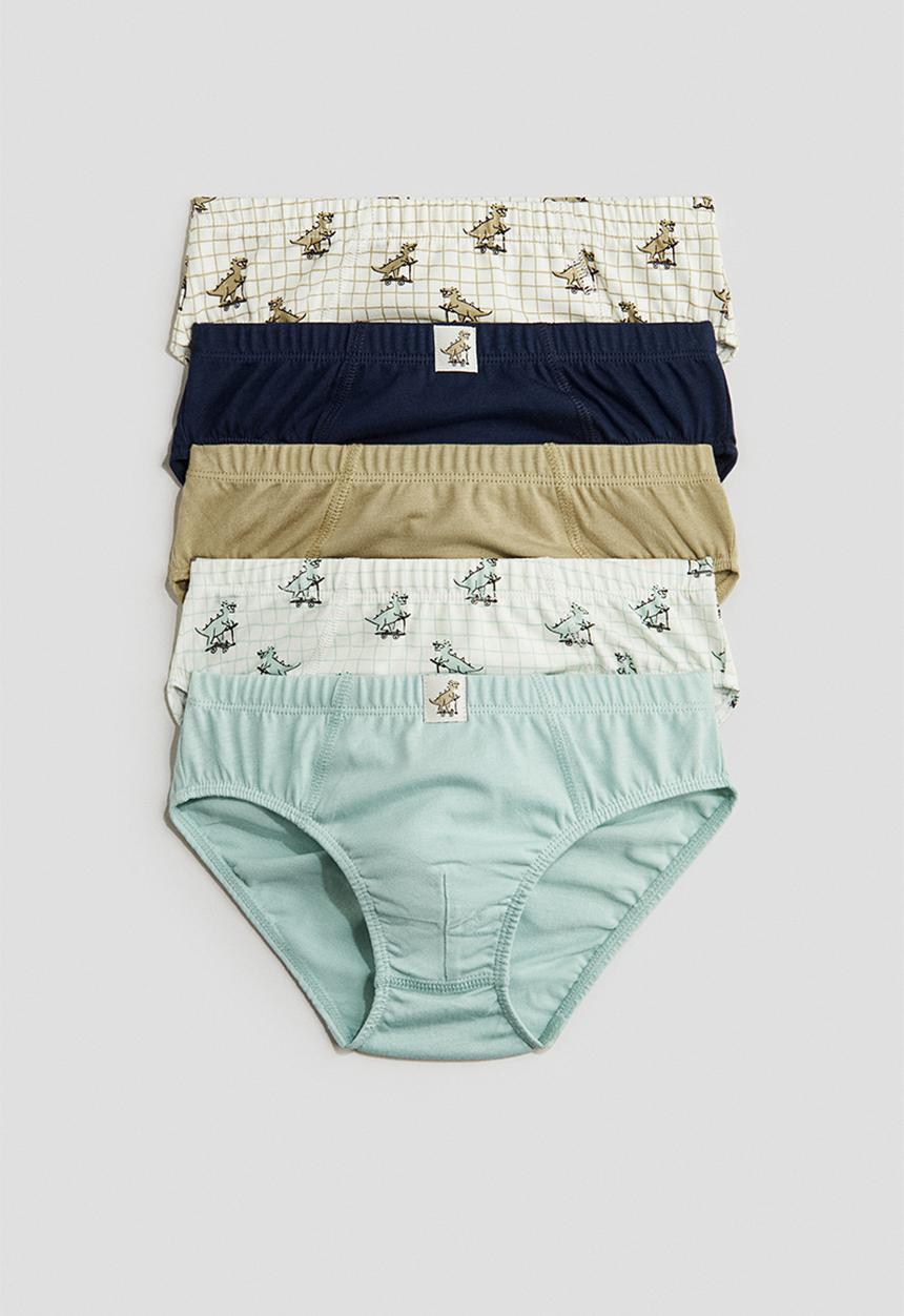 H&M - 5 pack cotton boys’ briefs - turquoise dinosaurs