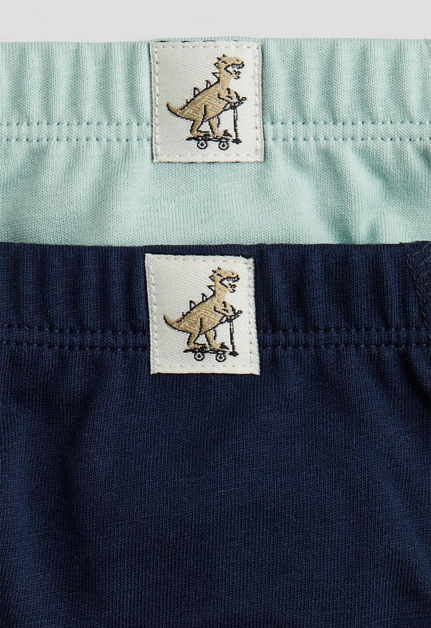H&M - 5 pack cotton boys’ briefs - turquoise dinosaurs