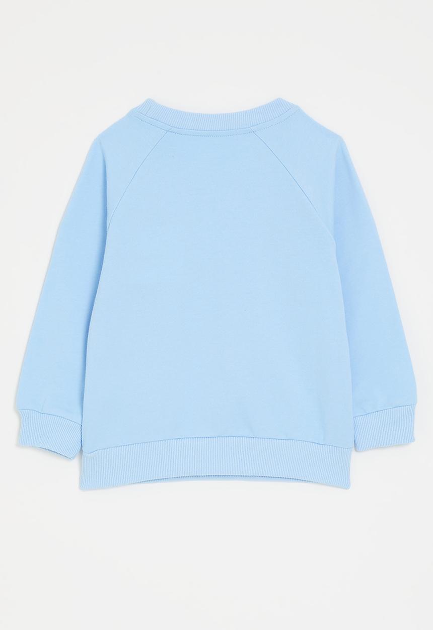 Pop Candy - Elephant graphic raglan sweatshirt - columbia blue