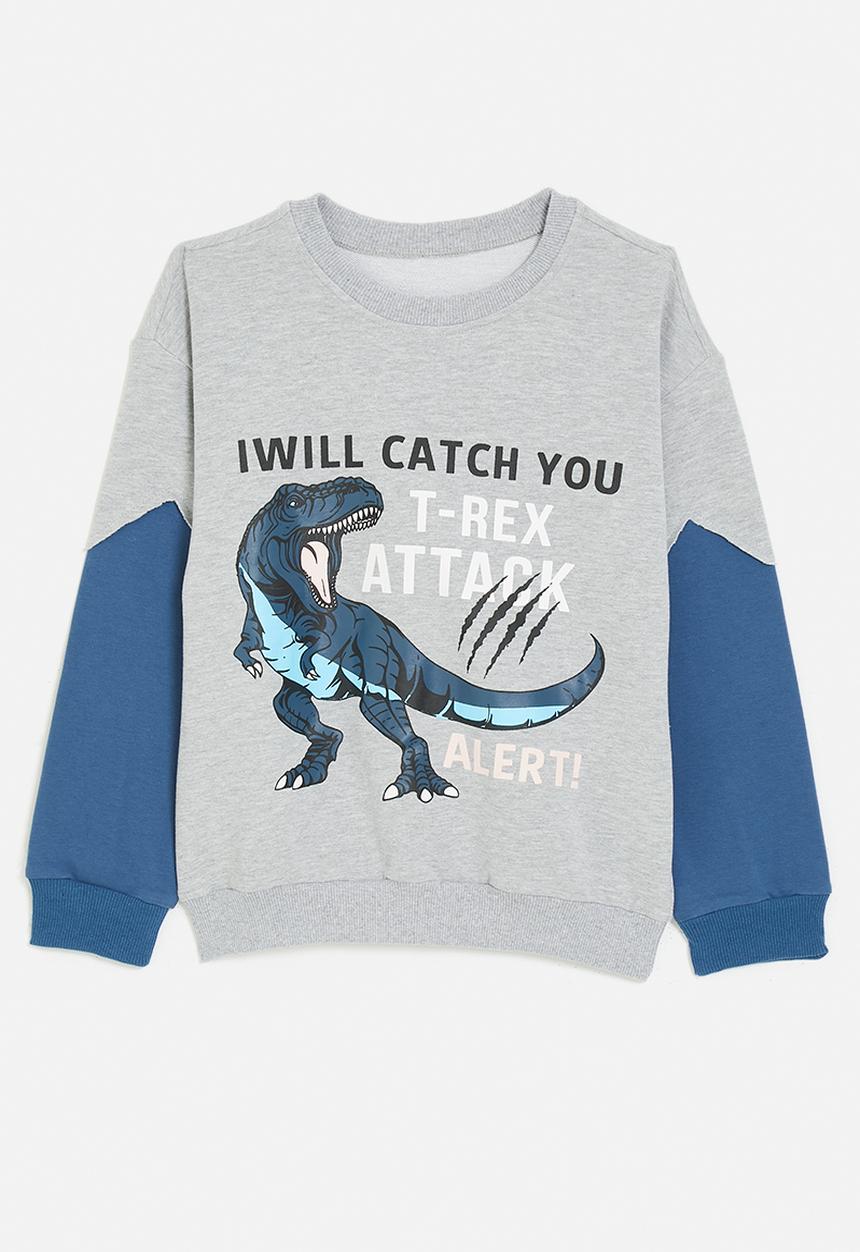 Pop Candy - T-rex graphic and slogan sweatshirt - grey/blue