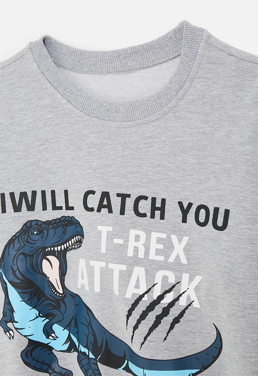 Pop Candy - T-rex graphic and slogan sweatshirt - grey/blue