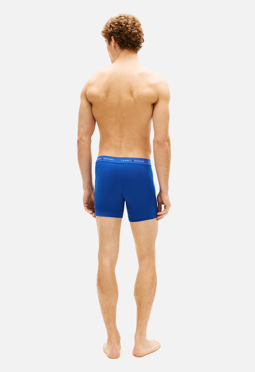 Tommy Hilfiger - 3 Pack Boxer Brief Dtm - Multi