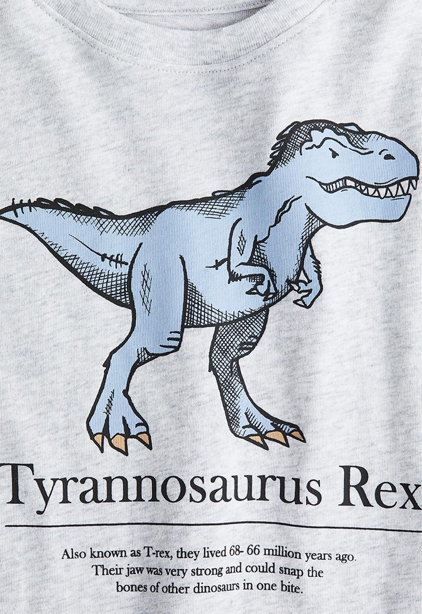 H&M - Motif-detail cotton T-shirt - light grey marl/dinosaur