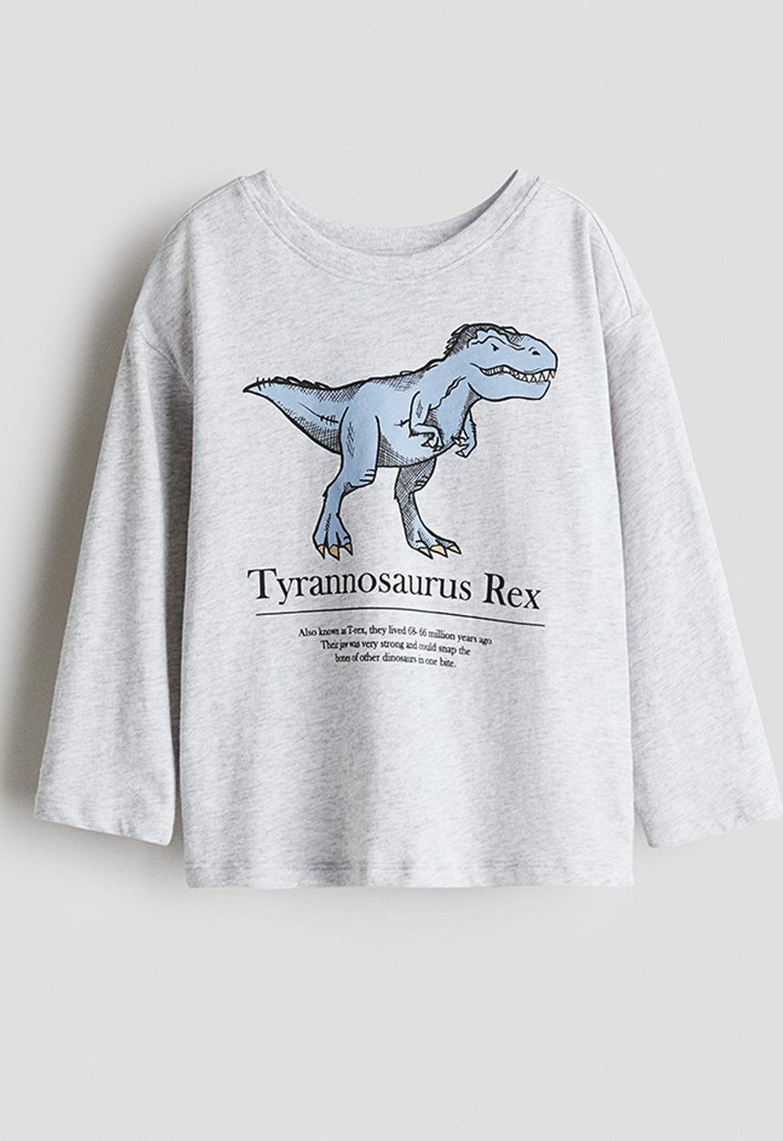 H&M - Motif-detail cotton T-shirt - light grey marl/dinosaur