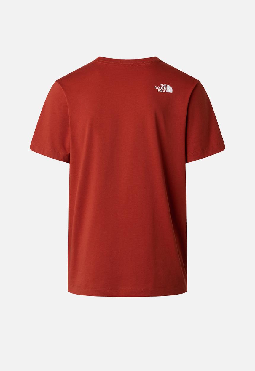 The North Face - M Evolution Half Dome Regular Short Sleeve Tee - Iron Clay