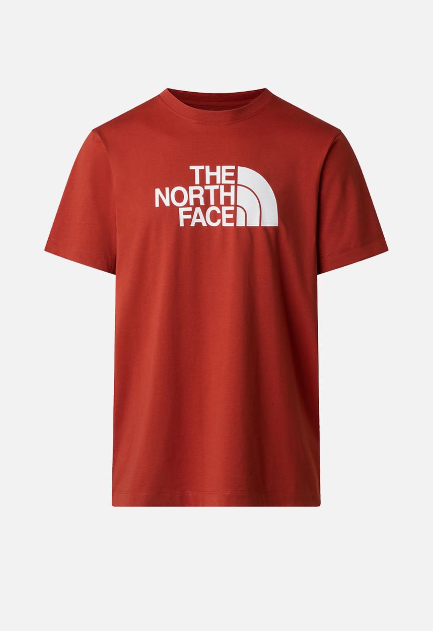 The North Face - M Evolution Half Dome Regular Short Sleeve Tee - Iron Clay