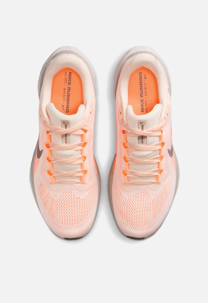 Nike - Pegasus 41
