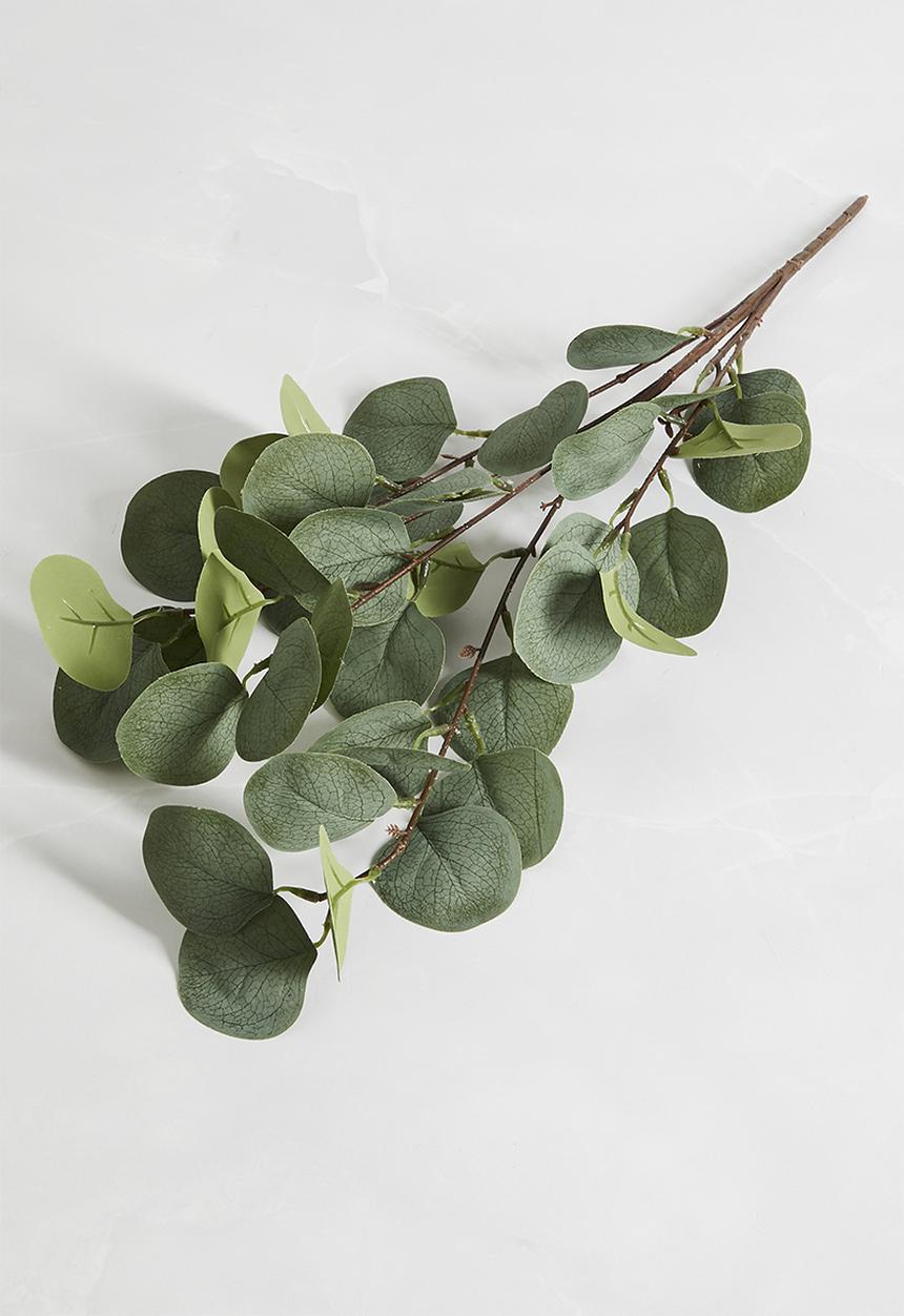 Sixth Floor - Eucalyptus Branch - Green