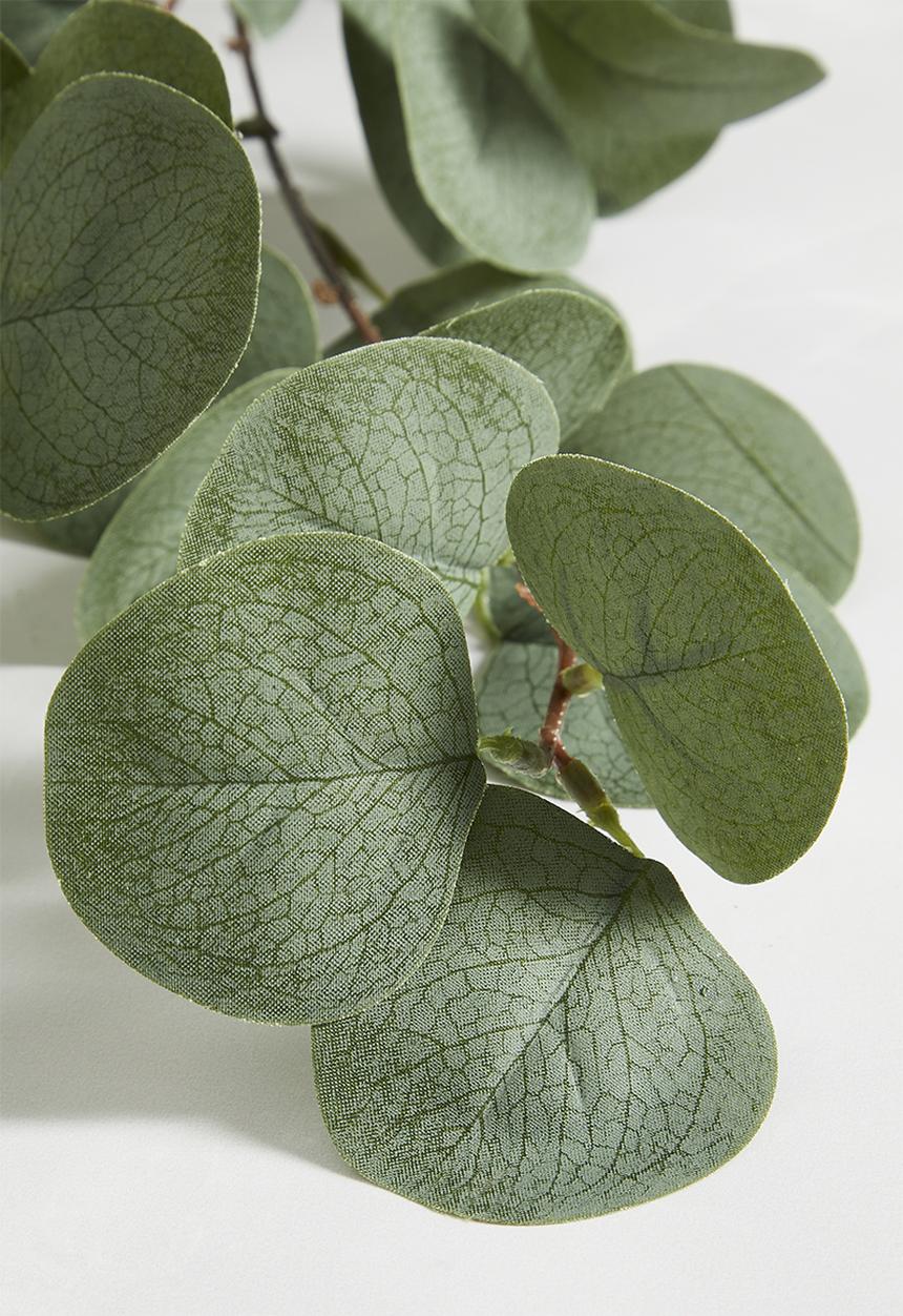 Sixth Floor - Eucalyptus Branch - Green