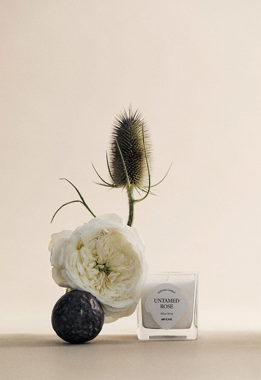 H&M - Small scented candle in glass holder - untamed rose