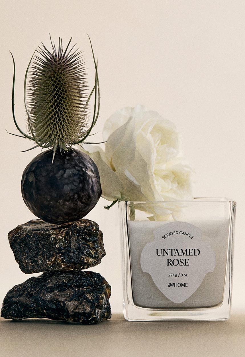 H&M - Scented candle in glass holder - untamed ros