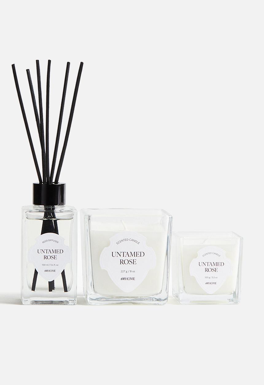 H&M - Scented candle in glass holder - untamed ros