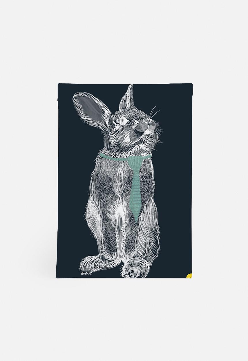 Amalia Restrepo - Fancy rabbit