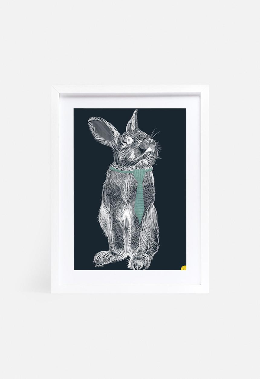 Amalia Restrepo - Fancy rabbit
