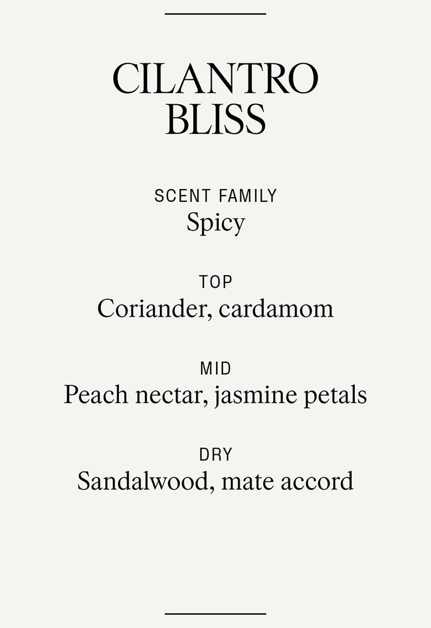 H&M - Small scented candle in glass holder - cilantro bliss