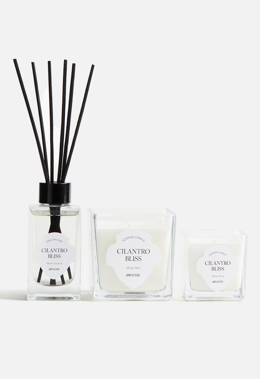 H&M - Small scented candle in glass holder - cilantro bliss