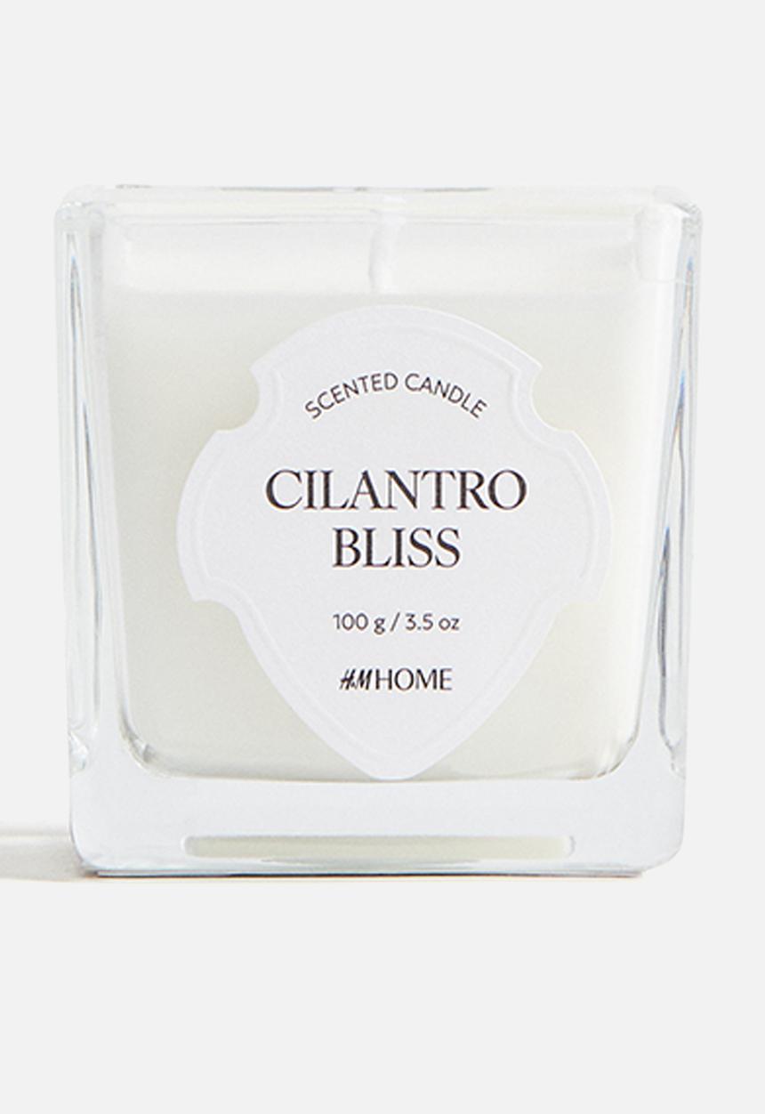 H&M - Small scented candle in glass holder - cilantro bliss