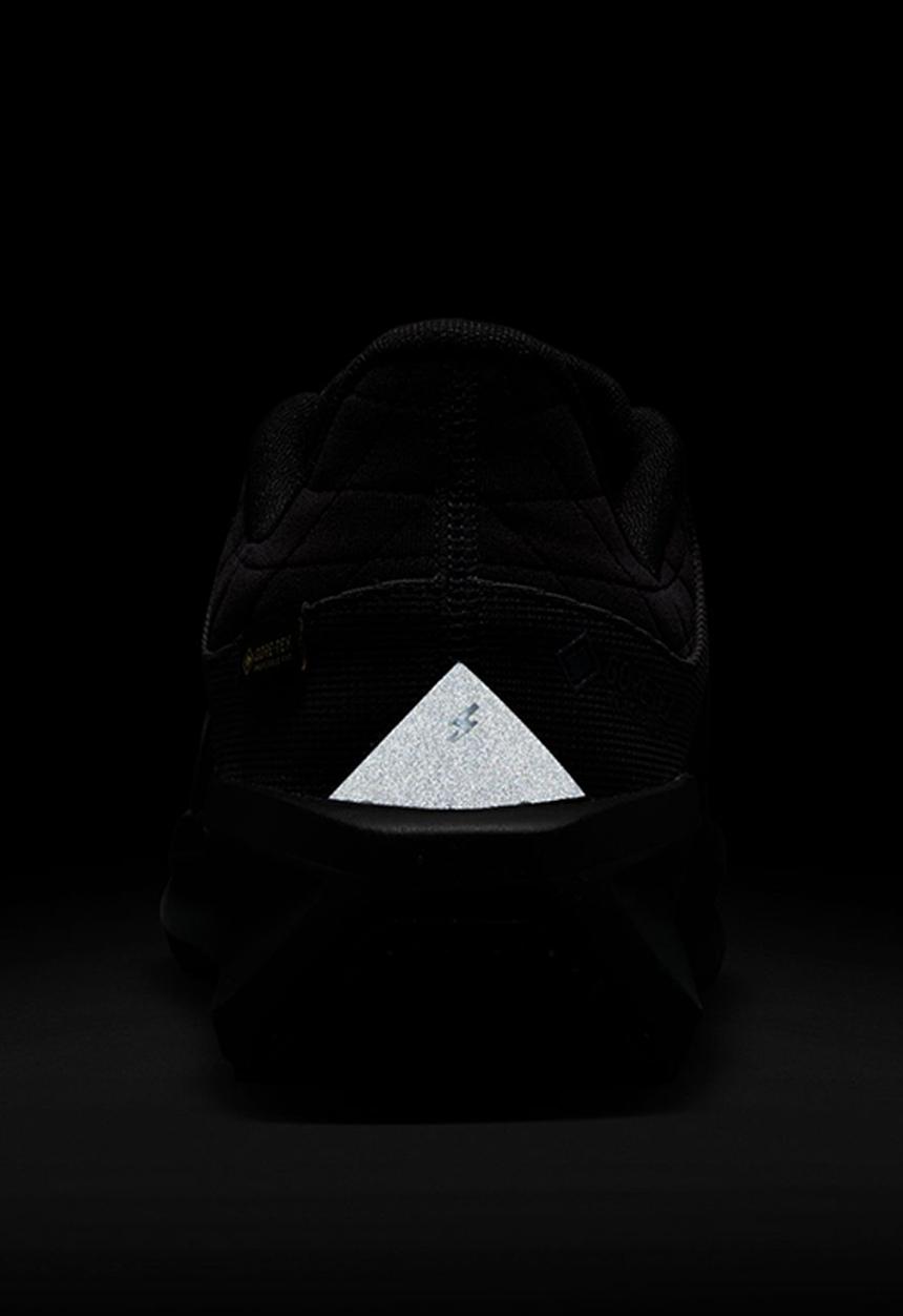 Nike - AIR WINFLO 11 GTX