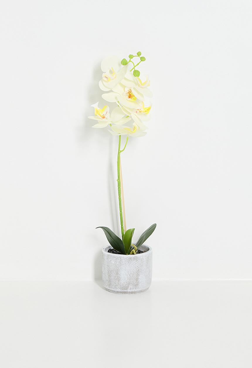 H&S - Artificial orchid plant - white