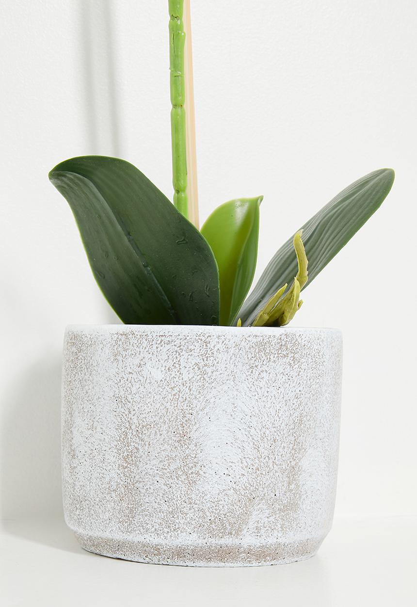 H&S - Artificial orchid plant - white