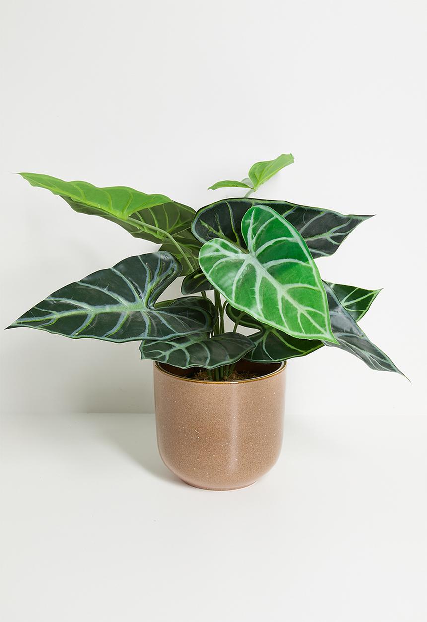 H&S - Dean planter - Brown