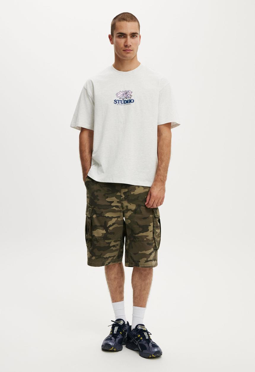 Cotton On - Everyday Fit Graphic T-Shirt - White Marle / No Problems
