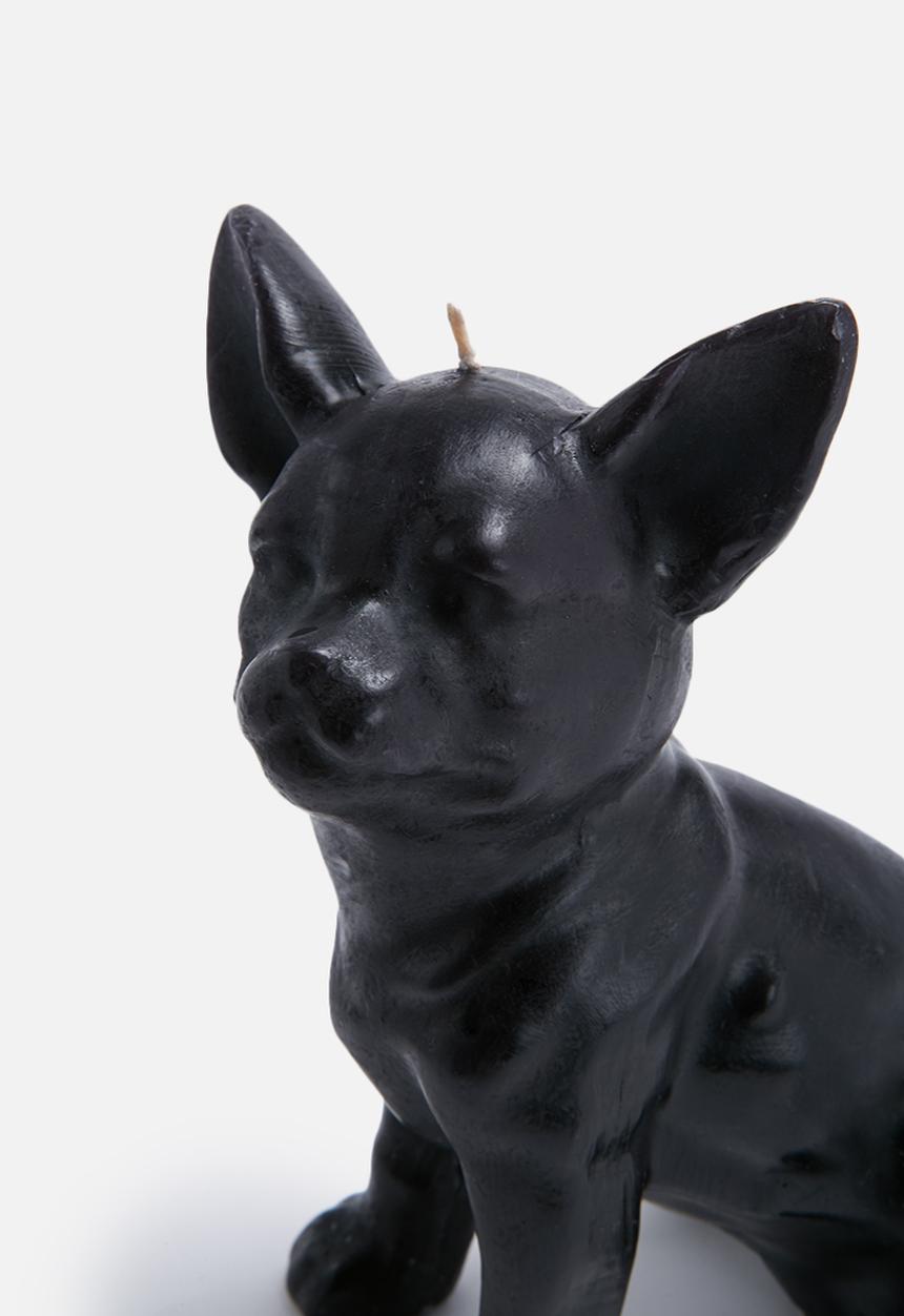 Sarah Jane - Chihuahua candle