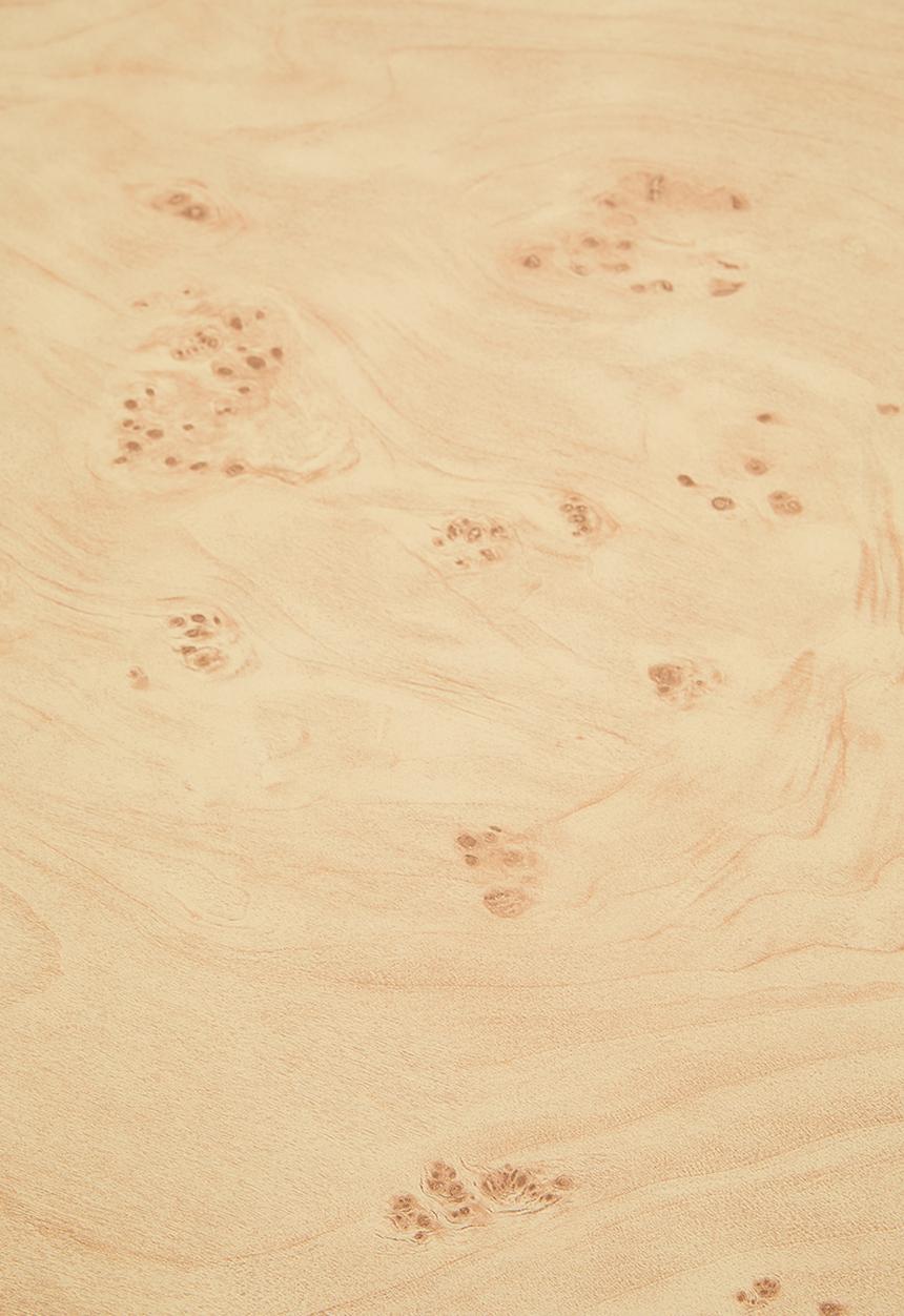 Sixth Floor - Burl Coffee Table - Natural 