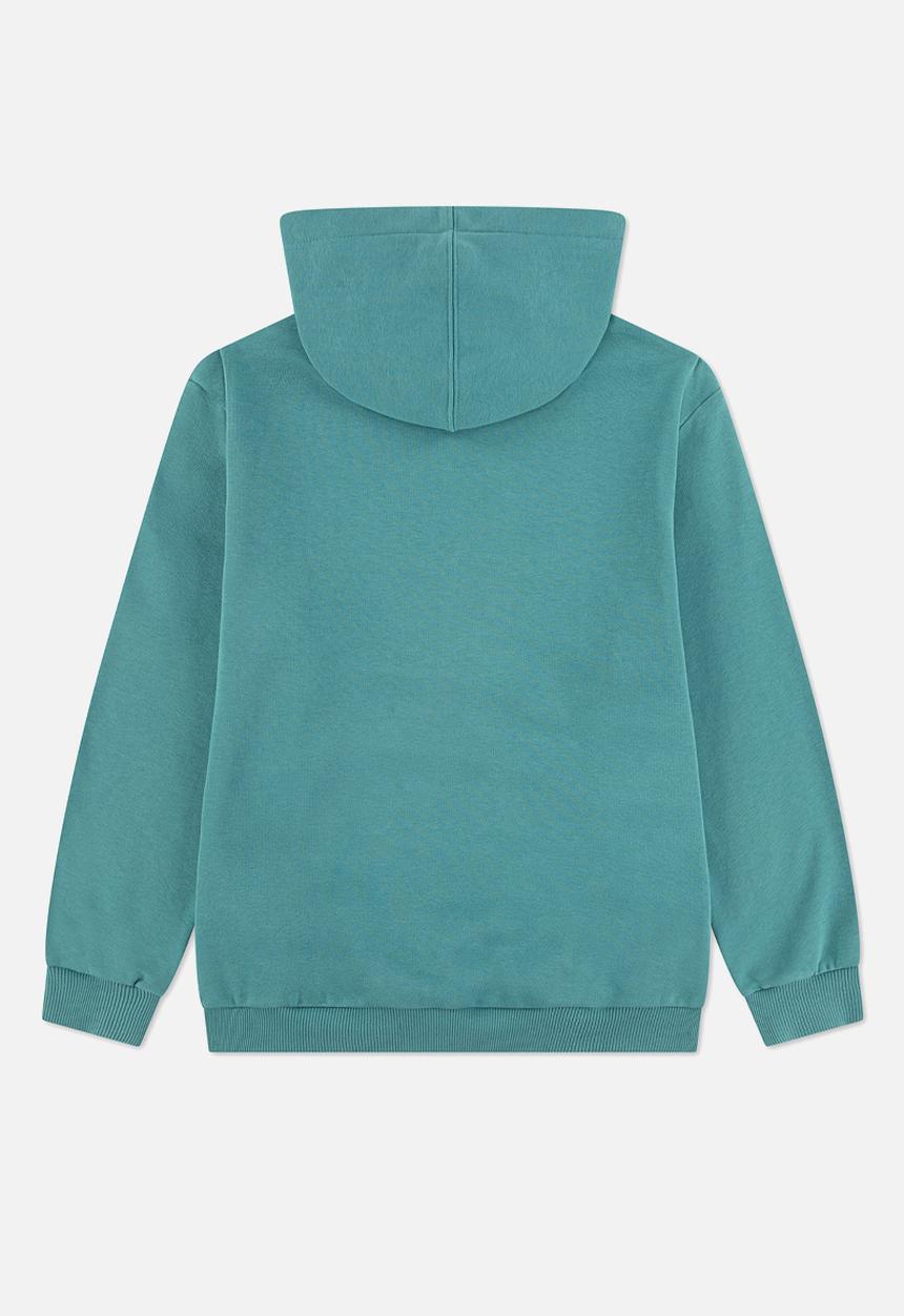 Converse - Cnvb Bleacher Athletic Po Hoodie - Lizard Breath