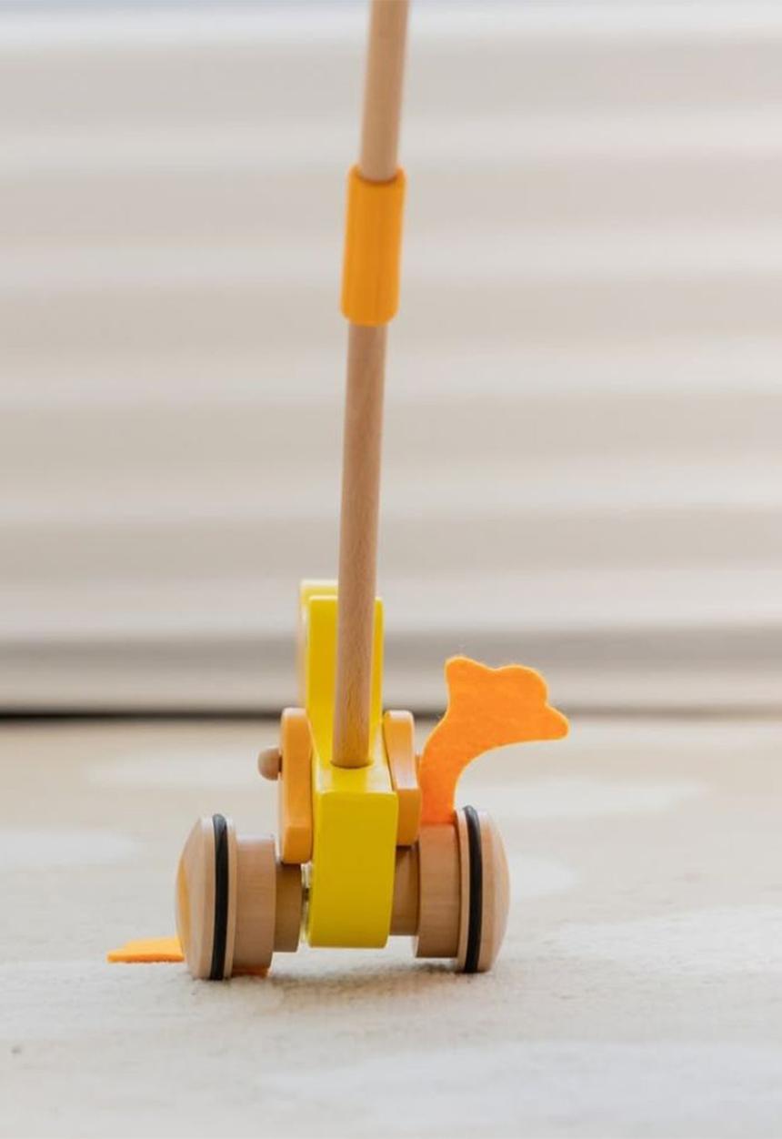 Greenbean Learning - Pull & Push Toy - Duck