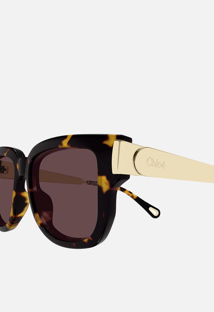 Chloe - Holly Sunglasses CH0351S-003 54mm - Havana