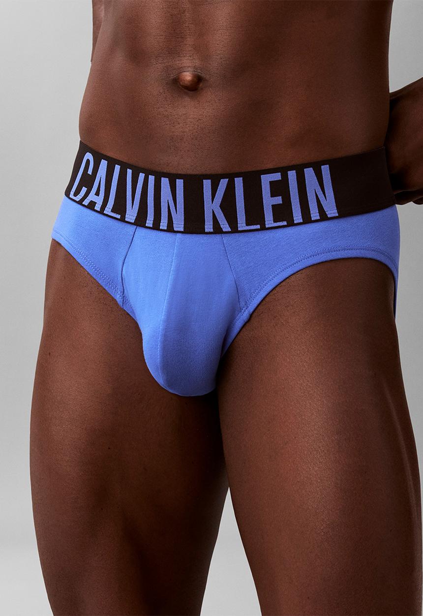 Calvin Klein - Hip Brief 3Pk - Turbulence, White, Iris Bliss
