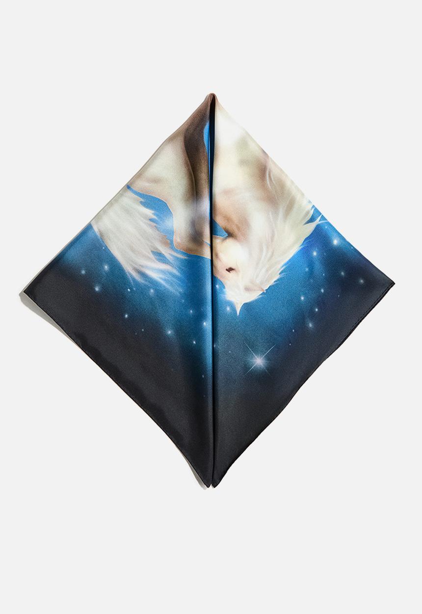 H&M - Stella McCartney H&M: Printed silk scarf - black