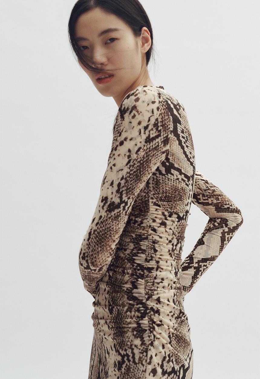 H&M - Stella McCartney H&M: Snakeskin-print mesh dress - beige