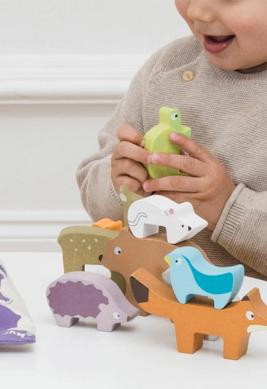 Le Toy Van - Wooden Woodland Stacking Forest Animals & Bag 10pcs - multi