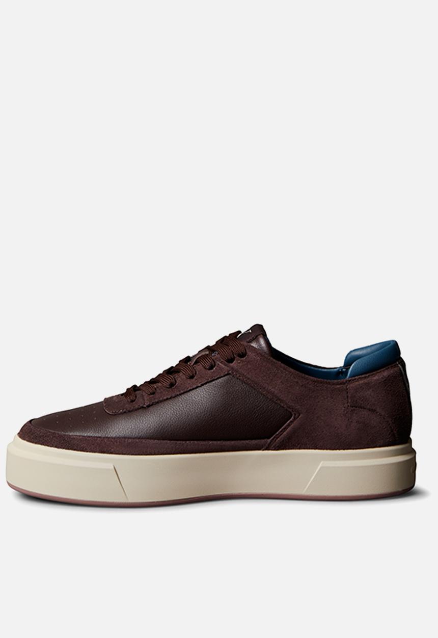 Calvin Klein - Basket Cupsole Laceup - Bordeaux/Muddy Brown/Navy Teal