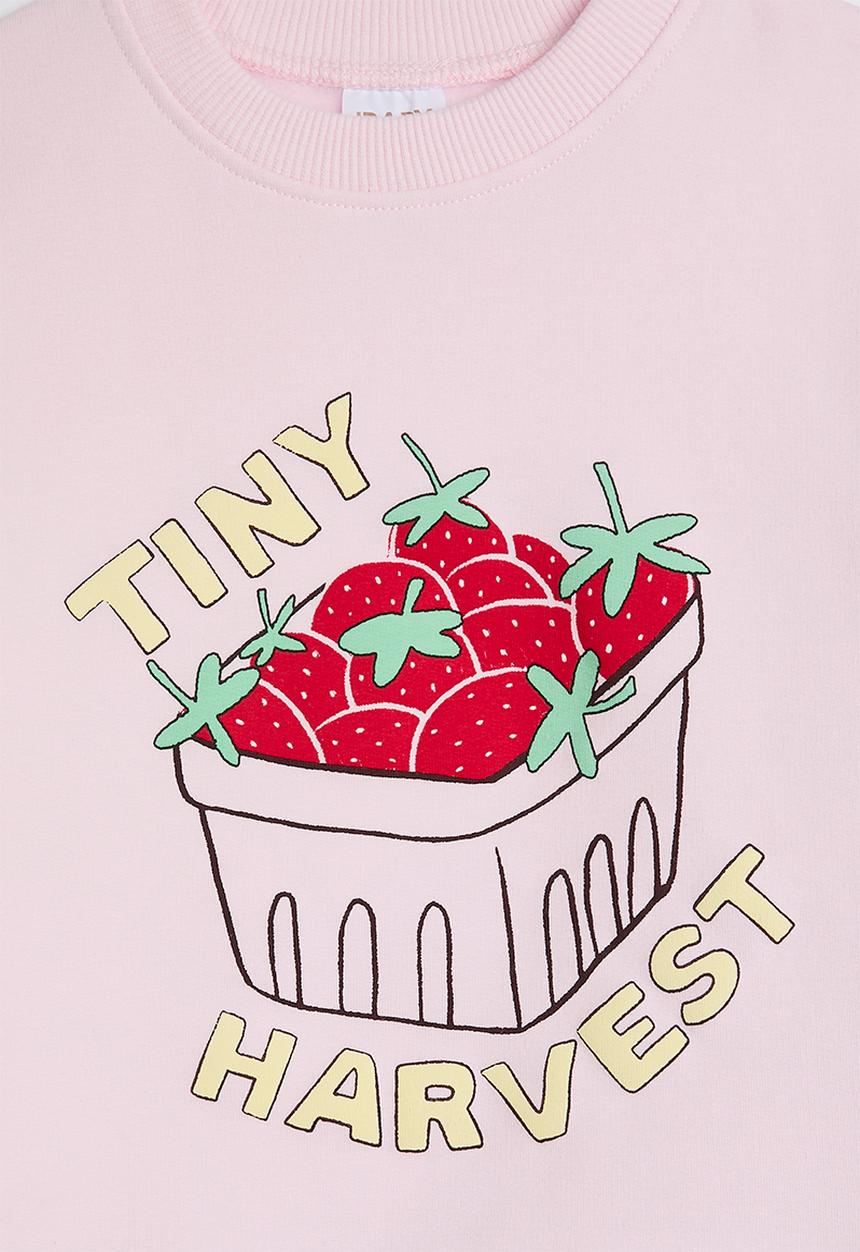 Cotton On - Bundle Riley Sweater & Trackpant - Tea Party Pink/Tiny Harvest