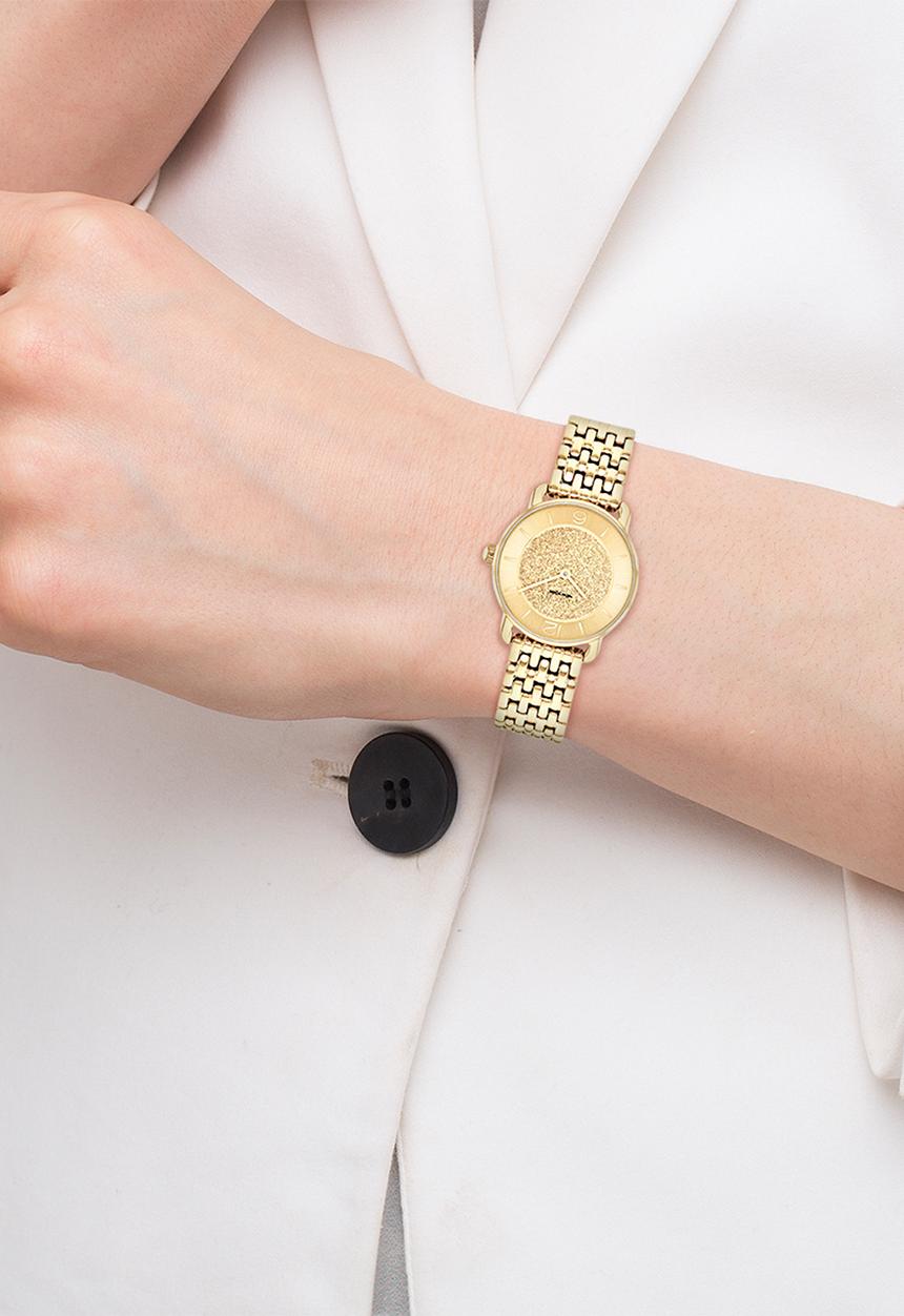 Coach - Elliot 14504370CH Watch - Gold