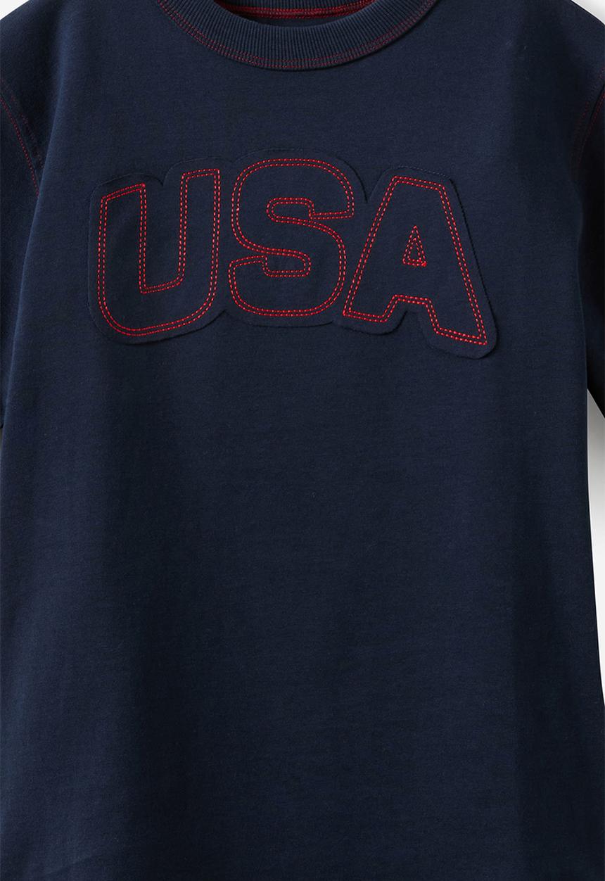 Cotton On - Essentials Graphic Short Sleeve Tee - Squid Ink/Heritage Red/Usa
