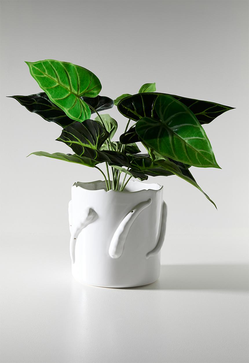 Urchin Art - Chilly Vase - White