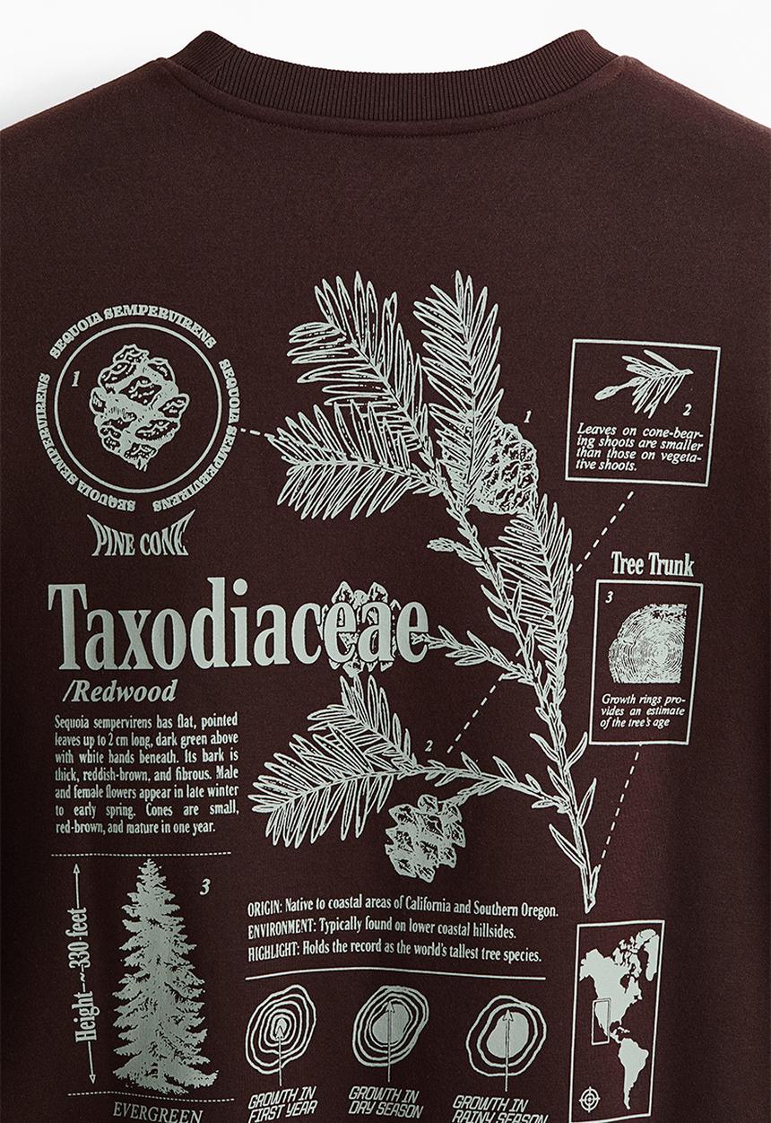 H&M - Loose fit printed sweatshirt - dark brown/taxodiaceae