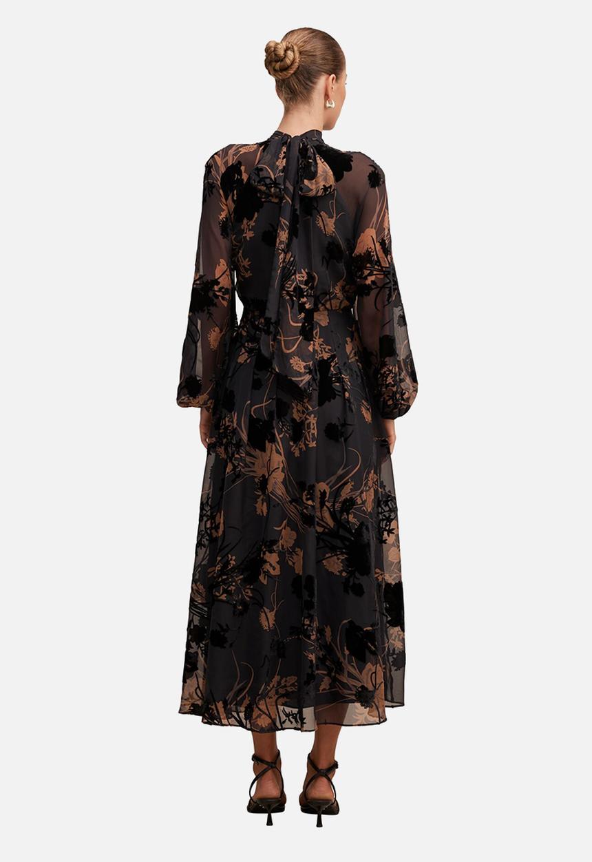 Forever New - Janelle velvet burnout maxi dress - black/brown