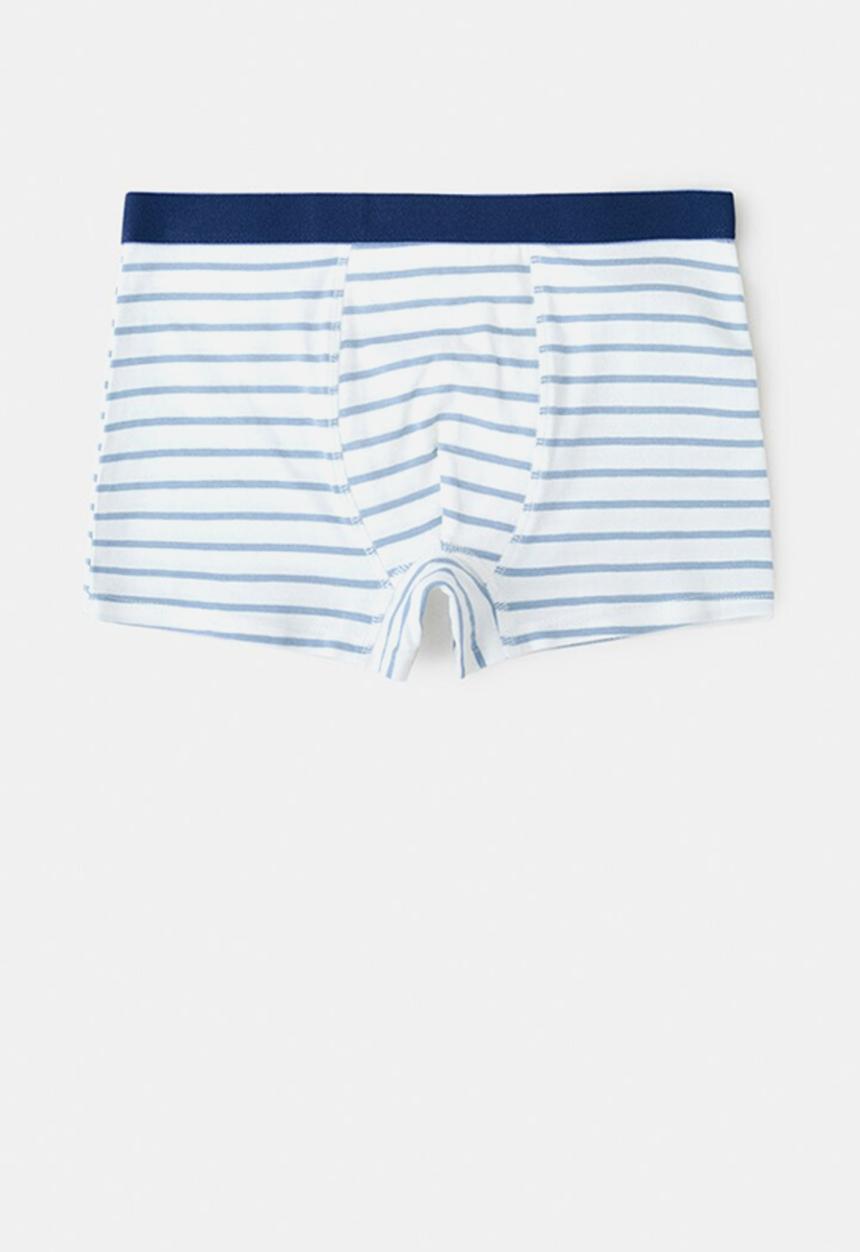 MANGO - Briefs tradi - medium blue